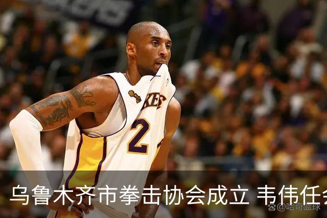 乌鲁木齐市拳击协会成立 韦伟任会长
